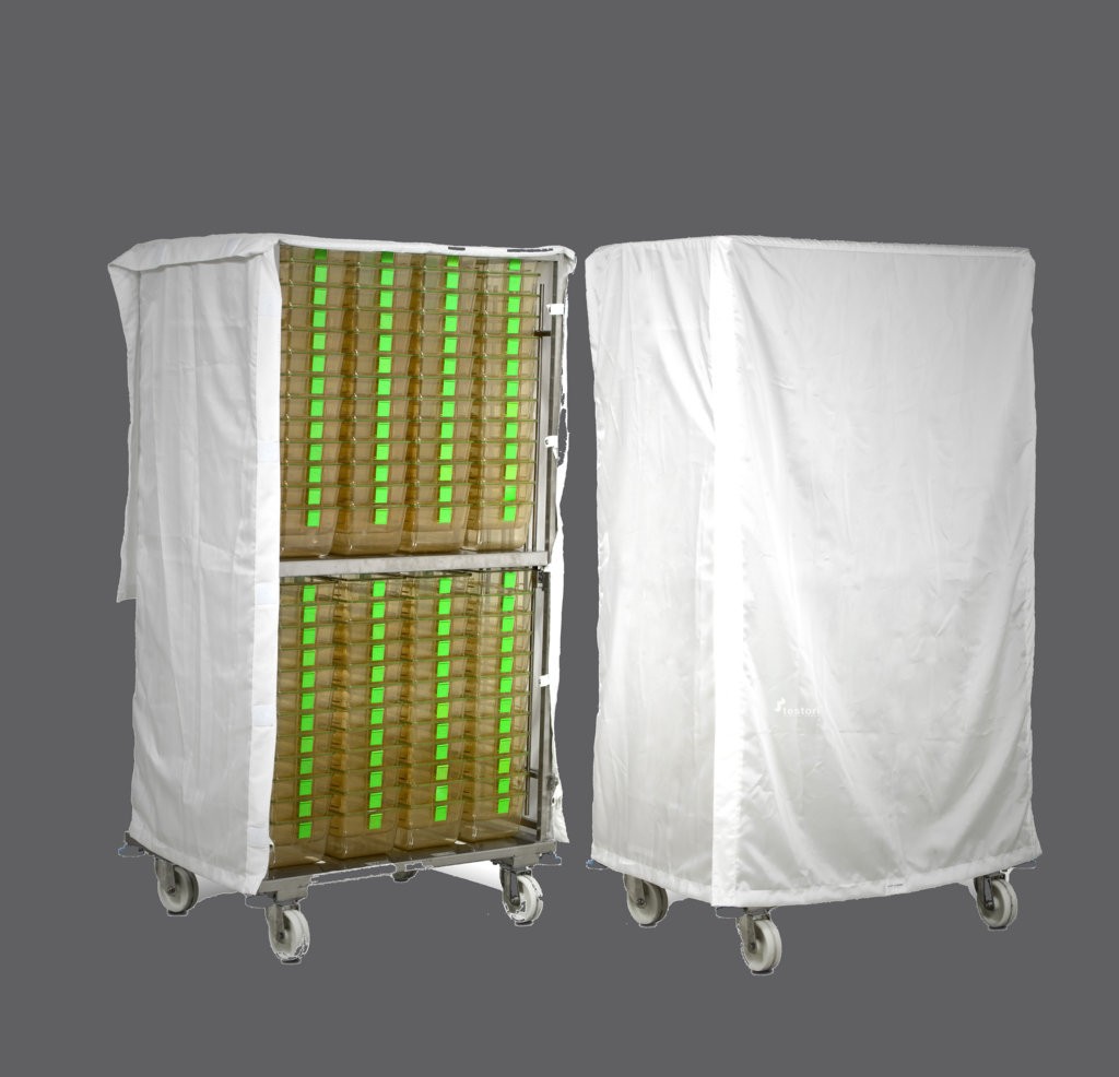 Testori_cover (FILEminimizer).jpg