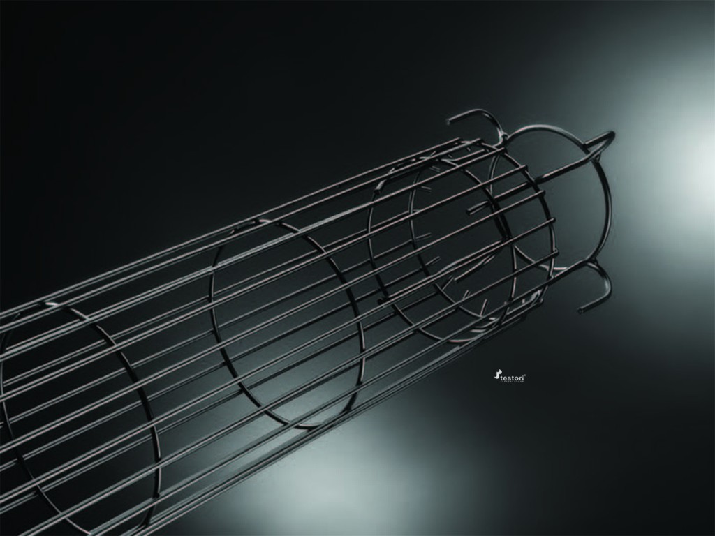 Testori_cageW29 (FILEminimizer).jpg