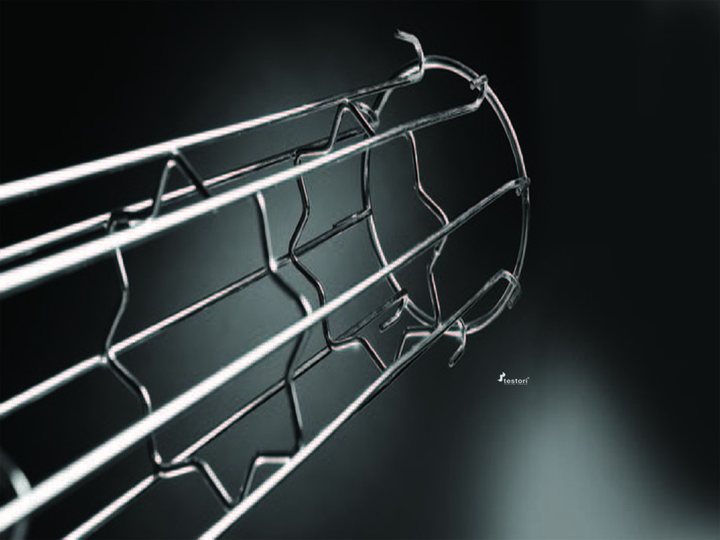 Testori_cageW20 (FILEminimizer).jpg