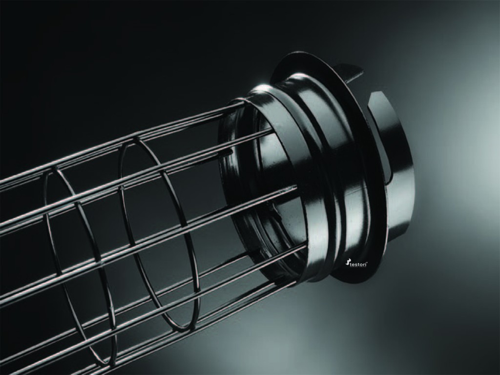 Testori_cageW28 (FILEminimizer).jpg