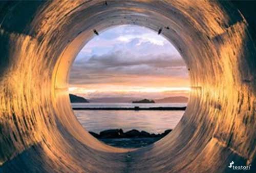 Trattamento Acque Reflue